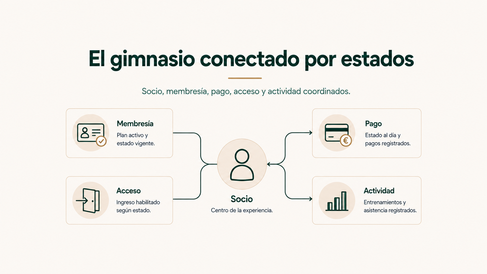 El gimnasio conectado por estados